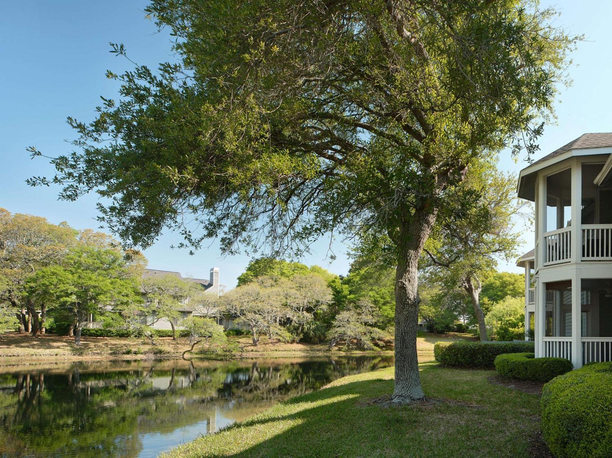 Kingston Plantation Condos Briarcliffe Acres Exterior foto